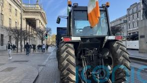Irish army called in to remove vehicles blocking depots as part of fuel protests