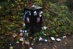 Call for more anti-litter support in this Kildare town