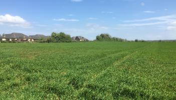 PROPERTY WATCH: Kildare review and outlook for the agricultural land market