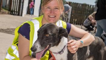 PHOTO GALLERY: Kildare Animal Foundation Open Day 2019, celebrating 25 years