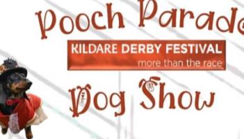 Calling all dogs to the inaugural Kildare Derby Festival Pooch Parade