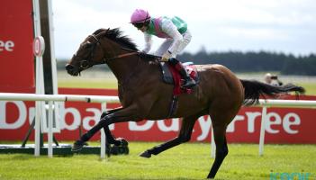 Epsom third Westover strikes classic gold at the Curragh