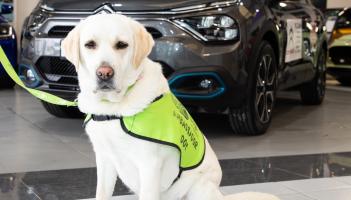 Could YOU be the winner? Irish Guide Dogs for the Blind's Newbridge, County Kildare branch launches annual car raffle
