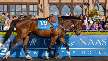Punchestown: Lawlor's Of Naas sponsor €100,000 Listed Handicap Hurdle