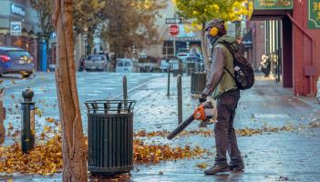 Kildare residents told to do more to get rid of falling leaves