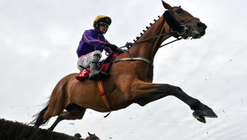 IHRB expands pre-race veterinary checks using Kildare company