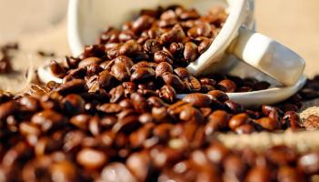 Just let it cool down a bit: Coffee business in this Kildare town announces brief break