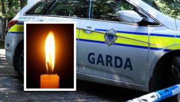 RIP: Pedestrian dies in hospital three weeks after crash as gardaí appeal for witnesses