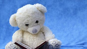 Kildare Mobile Library Service back in operation, council reports