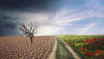 Kildare County Council announces Round 2 of Community Climate Action Programme
