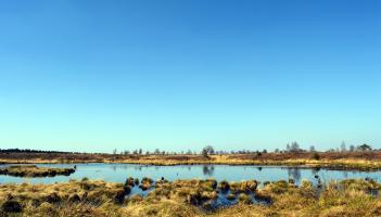Free men's walk and bog tour to take place in Kildare