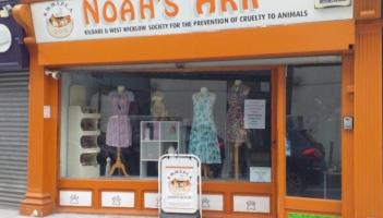 Kildare animal charity says it urgently needs these items for its Newbridge shop