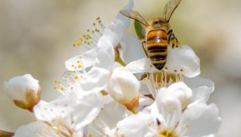 Kildare Co Council scores highly in EPA environmental enforcement report