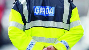 Kildare garda makes appeal for information relating to fatal N7 incident