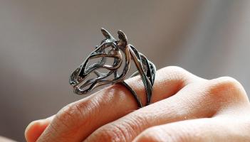 Kildare garda&iacute; probing theft of jewellery from home in Donadea