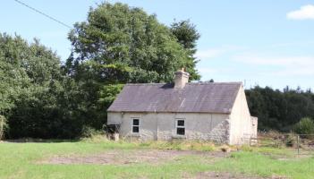 Cheapest in Kildare? Cottage on half acre is 7 mins from M7 or M9