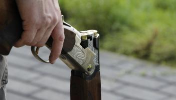Theft of shotguns from Kildare residence prompts garda investigation