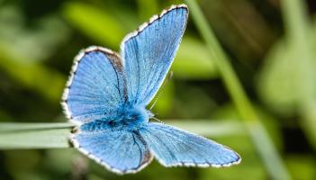 Kildare&nbsp;County Council launches podcast series showcasing Climate Champions in Maynooth