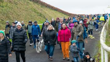 GALLERY: Start of Curragh Dog Walk in Kildare