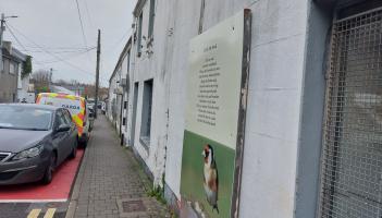 Demolish buildings on this Kildare street to create new homes, council told