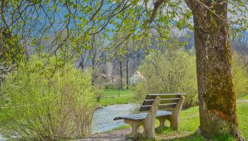 &lsquo;They have shown what a public consultation should look like&rsquo;: Kildare County Council's Parks Department praised for project help