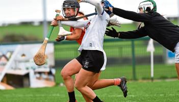Experienced Armagh that bit too strong for Kildare in camogie clash