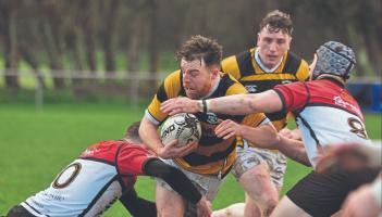 Newbridge RFC march into Towns Cup quarter-finals with Portlaoise win