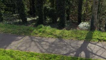 Garda&iacute; hunt for creepy flasher who performed public sex act at popular Irish walking spot