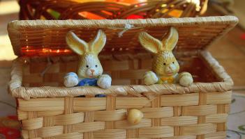 Disability charity to host Easter-themed arts and crafts fundraiser in this Kildare town