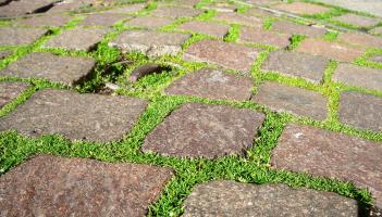 Slips, trips and falls risk assessment sought for footpaths in this Kildare estate