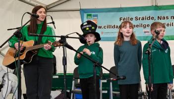 Ceol, craic agus an c&uacute;pla focal beo ar shr&aacute;ideanna N&aacute;s na R&iacute;ogh