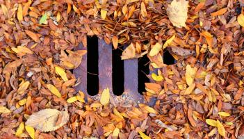 Claim that gullies in these Kildare regions 'haven't been cleaned in years'