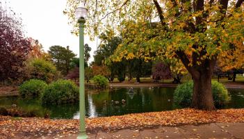 Update released for ambitious Kildare park project