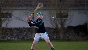 Garda appeal over criminal damage to Kildare GAA grounds