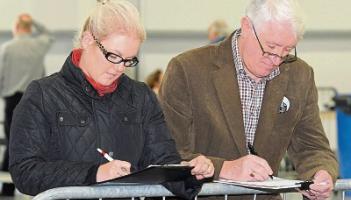 Tallymen and women needed on Saturday for Kildare count in Punchestown