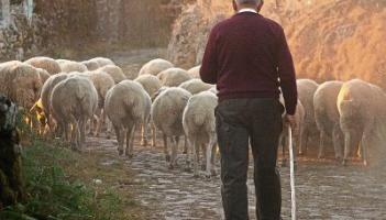 ASK THE DOC: Looking after farm families and their mental health