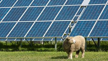 Ban solar farms from Kildare 'because the land is the best in the world'