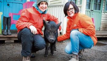 Kildare's My Lovely Horse Rescue launches house raffle to raise vital funds