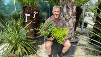 Gardening with Jo: Garden chores in the hot weather