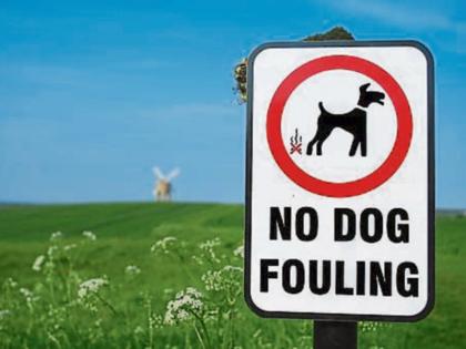 No Dog Fouling Cctv Sign Cctv Won T Be Put In To Tackle Naas Dog Fouling Leinster Leader