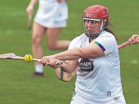 Kildare dominate in camogie season opener against Wicklow