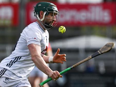 Hurlers team vs Wexford