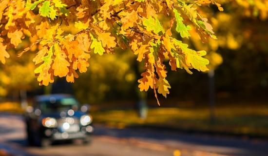 How to apply for a provisional licence