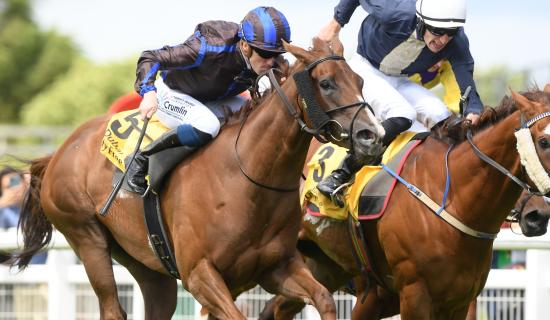 Big wins for Jim Bolger and Joseph O'Brien on Derby day at the Curragh