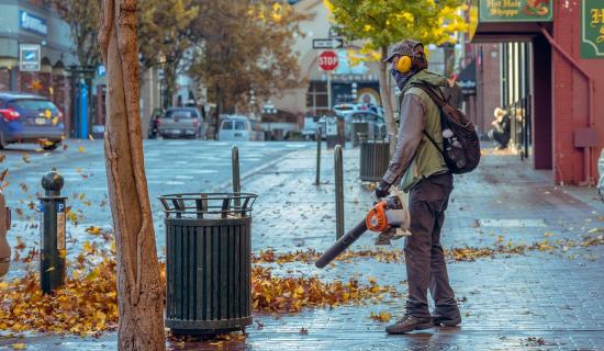 Kildare residents told to do more to get rid of falling leaves