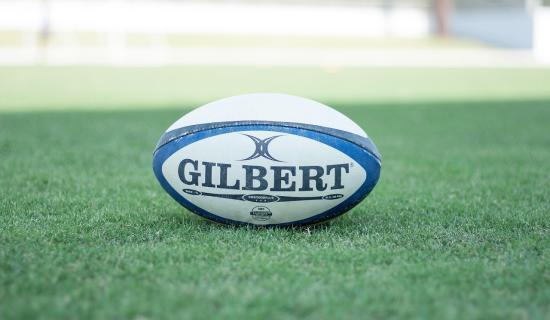 Sports club based in Kildare proposes changes to its rugby pitches
