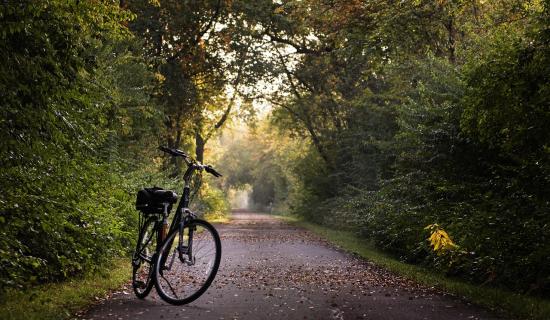 Kildare County Council quizzed over measures to improve walking and cycling in this region