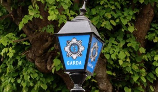 Two males charged in connection to theft incident in Kildare