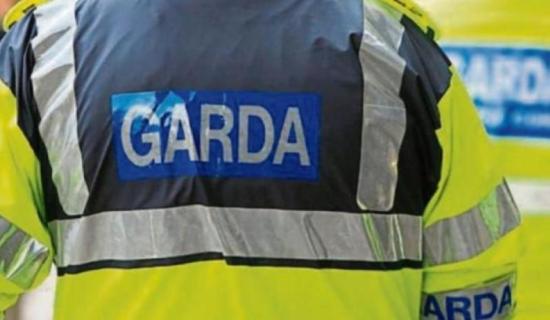 Kildare garda&iacute; investigating theft of two cars from home