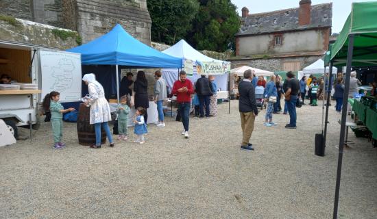 'No' to more electricity sources for the users of this weekly Kildare market